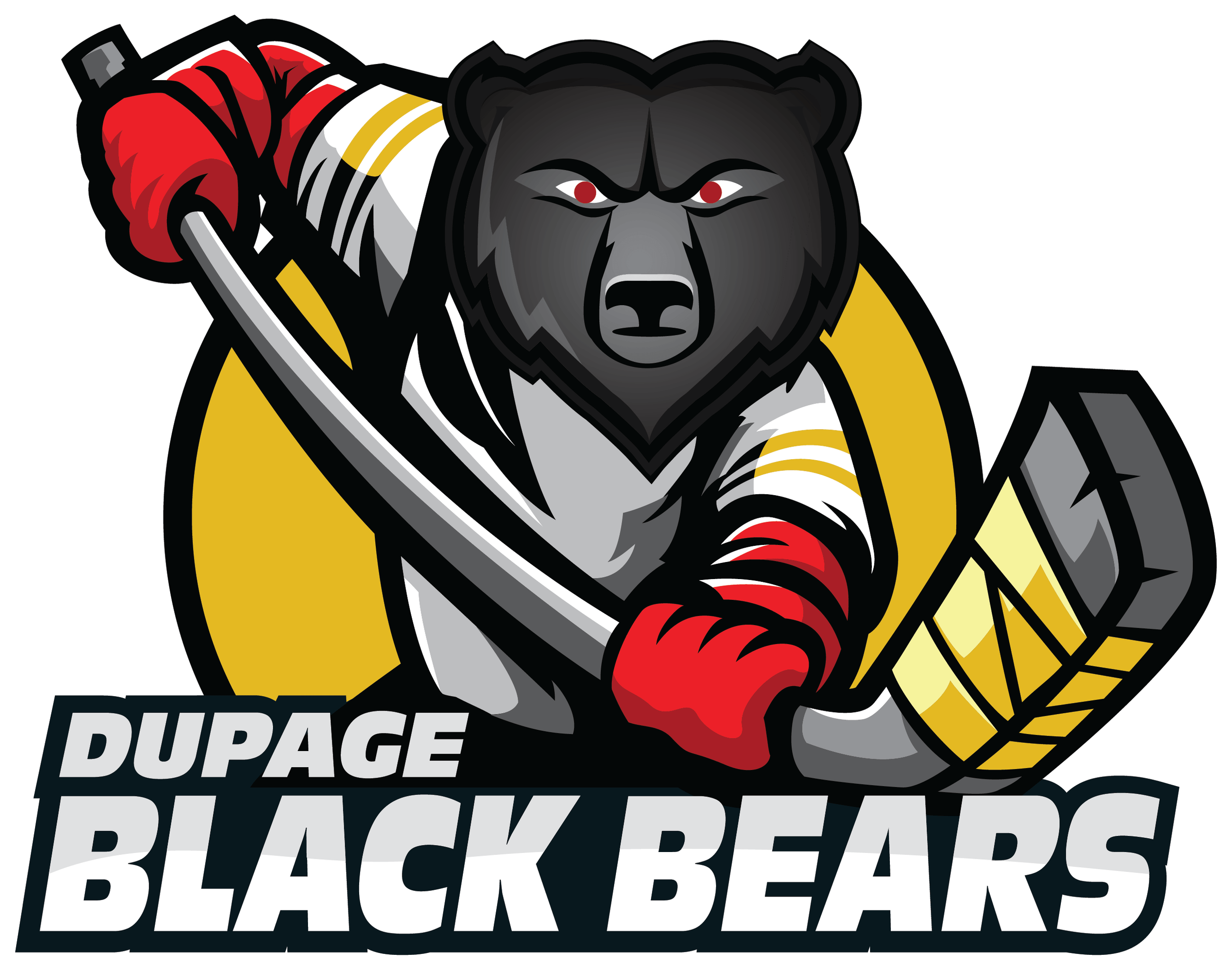 Ice Center of DuPage 2024/2025 Program